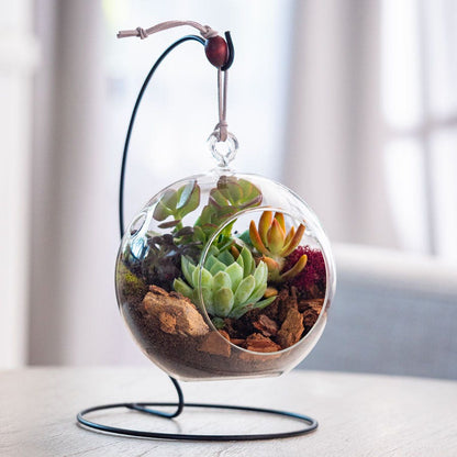 glass table succulent garden Hanging Glass Succulent Garden