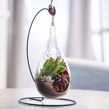 Hanging Mixed Succulent Terrarium