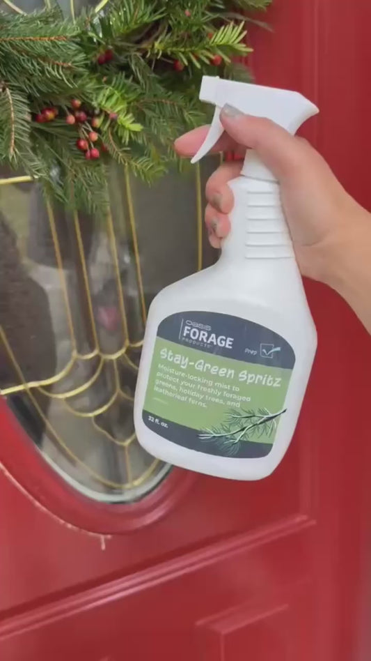 Oasis® Forage Products™ Stay-Green Sprtiz  32 oz - Evergreen Protection