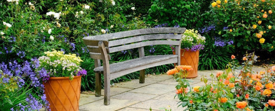 Container Garden Tips & Ideas for a Garden You Can Grow Anywhere