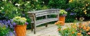 Container Garden Tips & Ideas for a Garden You Can Grow Anywhere