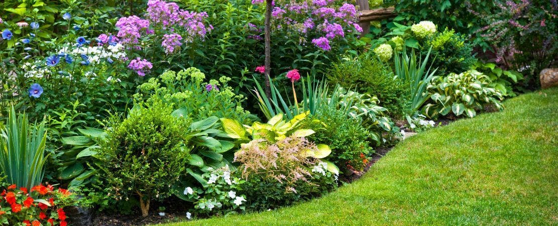Gardening Guide and Growing Information