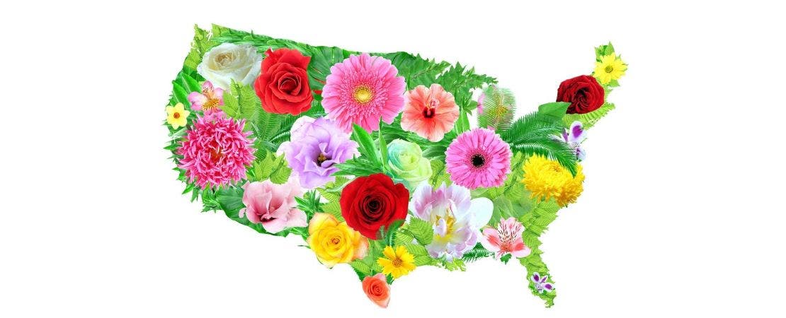 illustrated map of USA with flower images