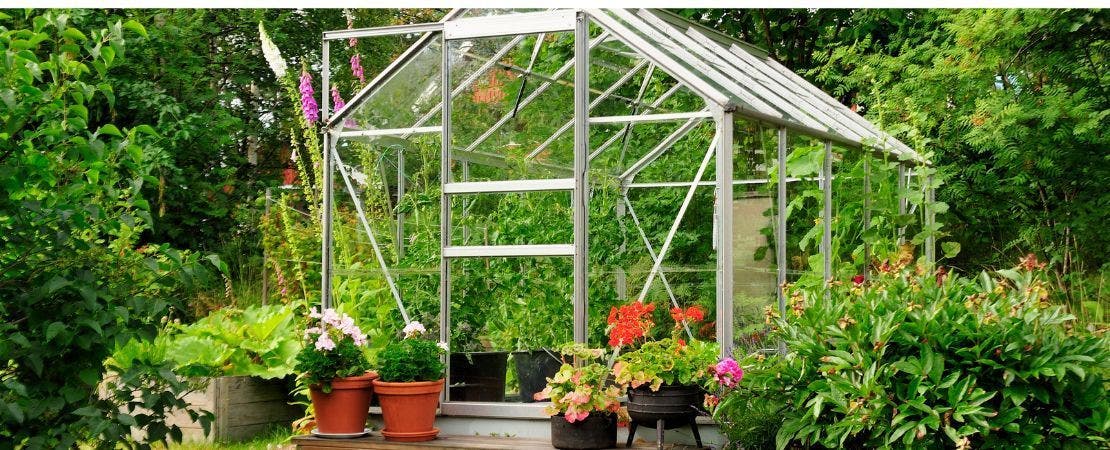 backyard greenhouse and garden