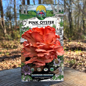 Mushroom Pink Oyster Countertop Kit