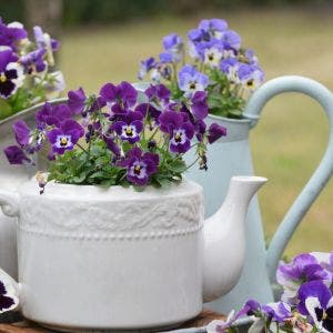 ceramic garden container