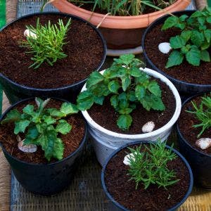 fiberglass garden containers