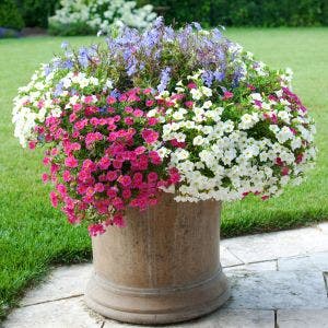 concrete garden container