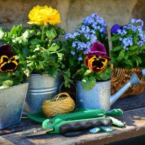 metal garden containers