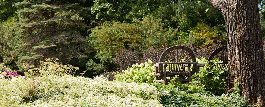 cane chairs by woodland garden